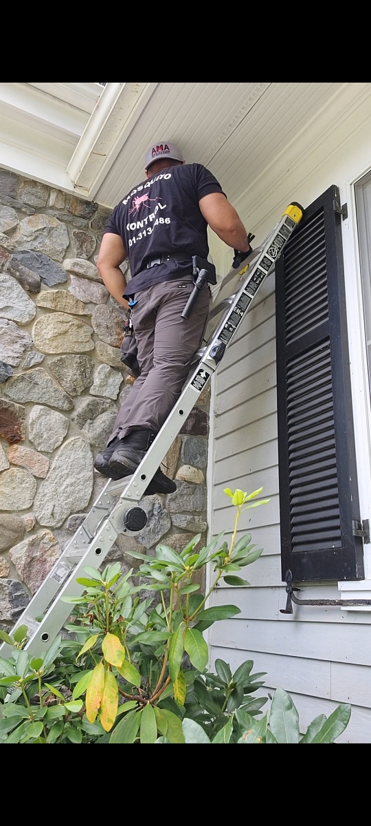 AMA Pest Control Solves a Squirrel Infestation Problem by Pest Proofing a Residential Home in Woodland Park, NJ